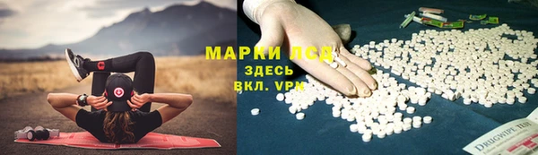 spice Арсеньев
