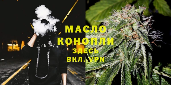 прущие грибы Армянск