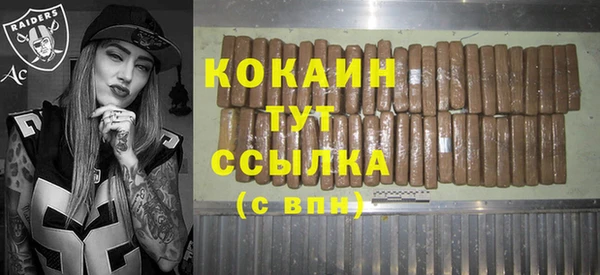 spice Арсеньев