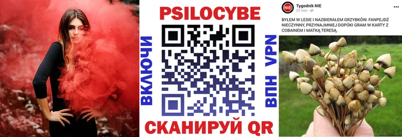 Галлюциногенные грибы мицелий  Белореченск 